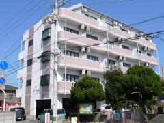 ピュアセレーナ21外観画像