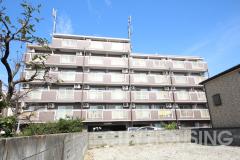 メゾン南昭和外観画像