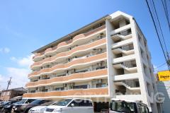 パレス中洲外観画像