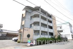 WILL GⅡ外観画像