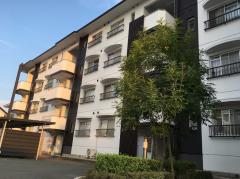 アルカディア21外観画像