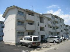 ハイツ中吉野外観画像