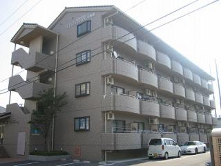 写真1